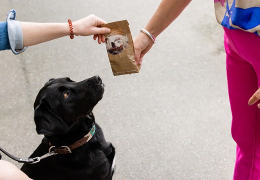 Receptie- hondenpakketje met hond.jpg