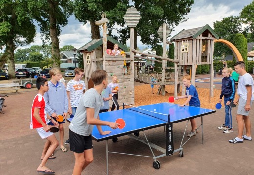 Pingpong.JPG