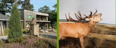 foto natuurdiorama.jpg