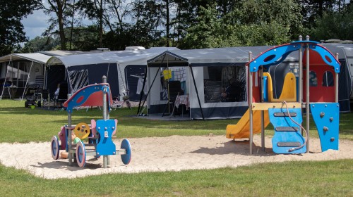 esdoorn.jpg