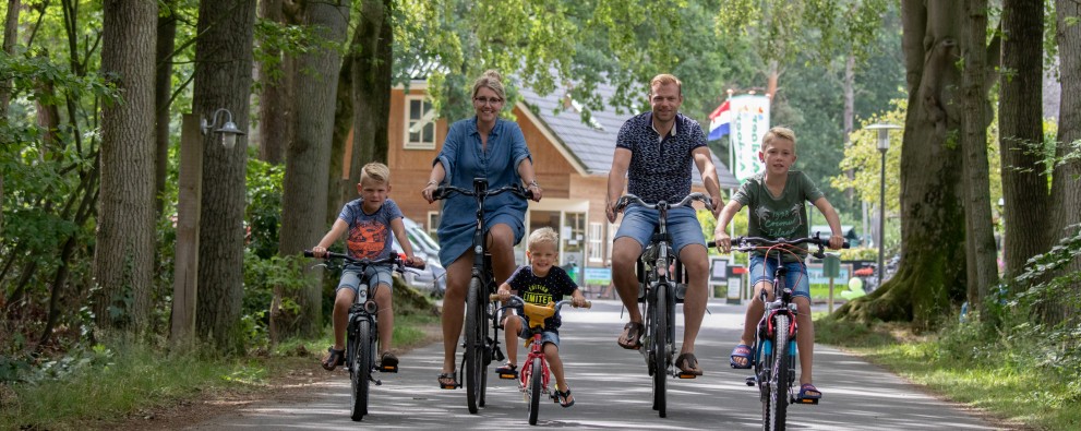 Noetselerberg - OverijsselNoetselerberg A0 kopie.jpg