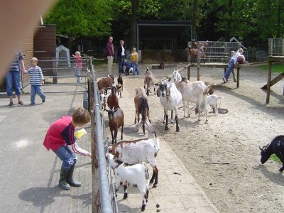 Foto kinderboerderij.jpg