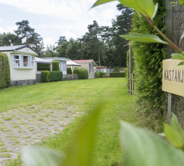 Kastanje