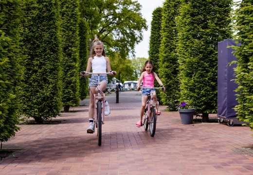 Fietsen- kinderen fietsen door heg.jpg