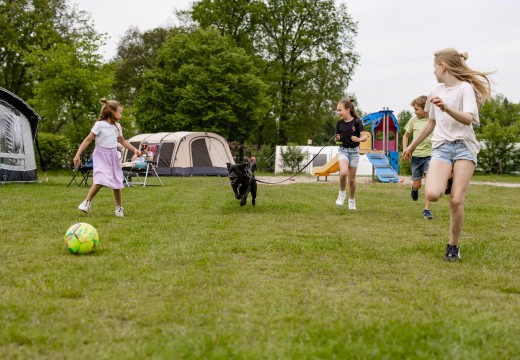 Hond- kinderen spelen met hond.jpg